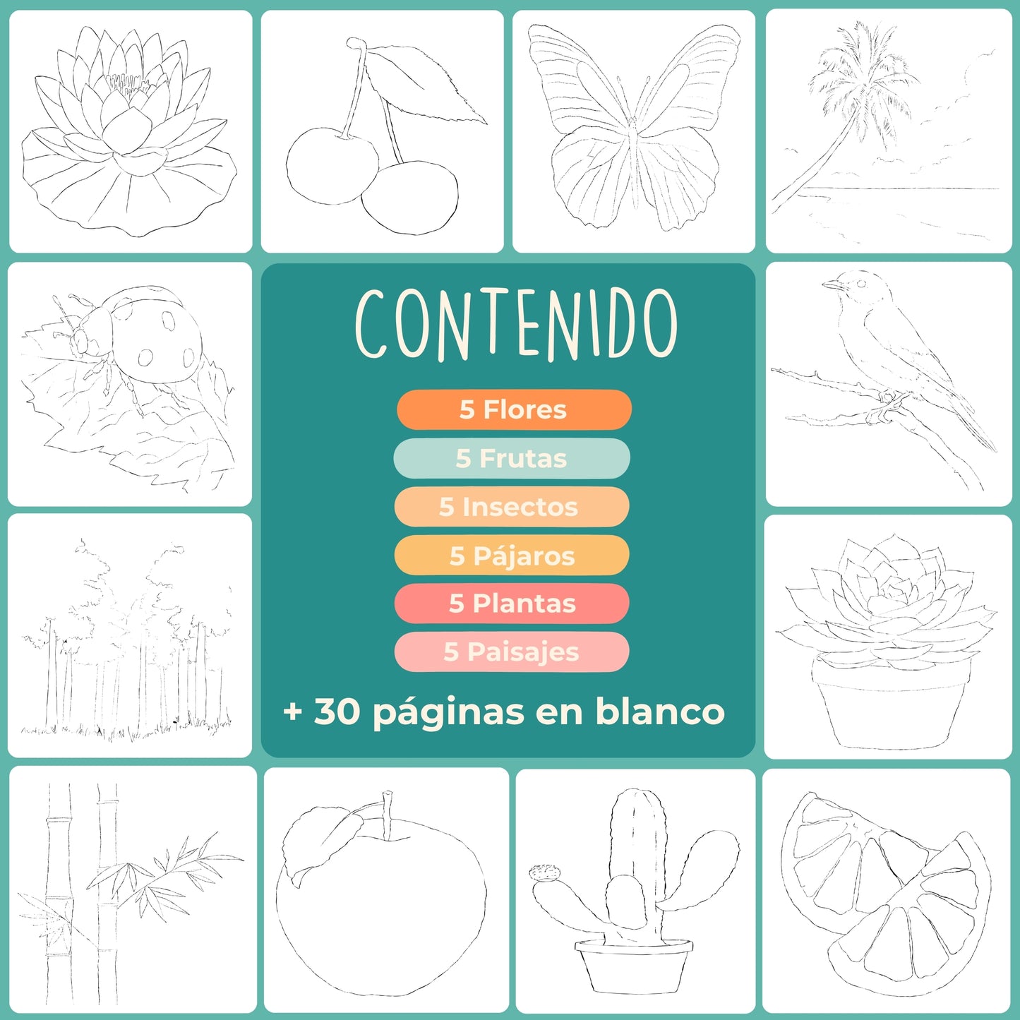 Tobio's™ Libro para Colorear: Principiantes
