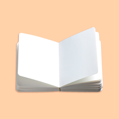 1 Cuaderno Extra (60 Páginas)